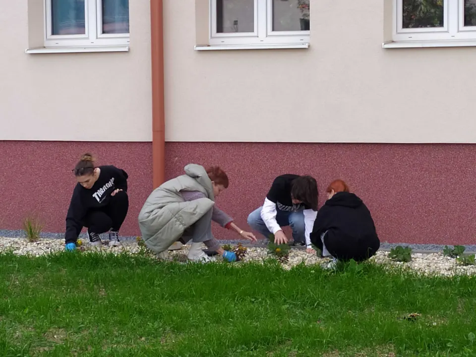 Trhanie buriny vo dvore ŠI