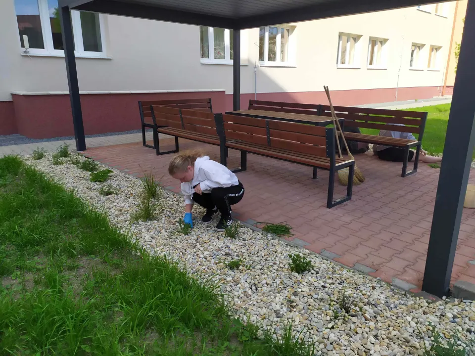 Trhanie buriny vo dvore ŠI