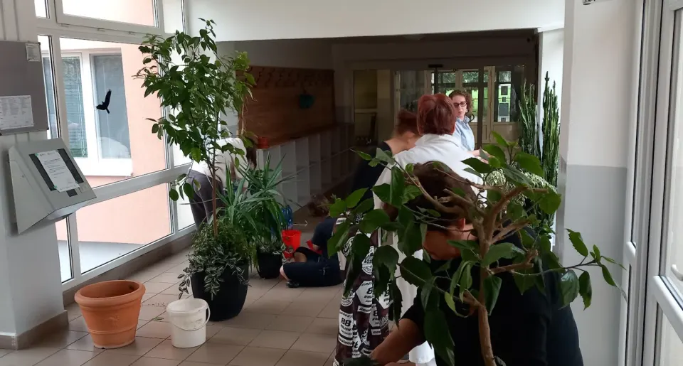 Estetizácia prostredia v ŠI - jarná údržba kvetinovej výzdoby vo vestibule