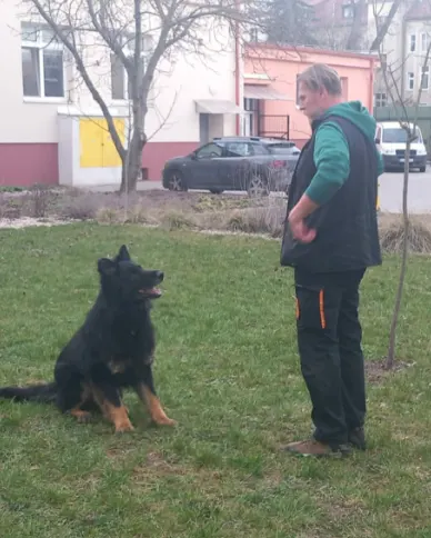 Stretnutie s kynológom