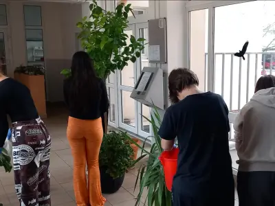 Estetizácia prostredia v ŠI - jarná údržba kvetinovej výzdoby vo vestibule – fotografia 4